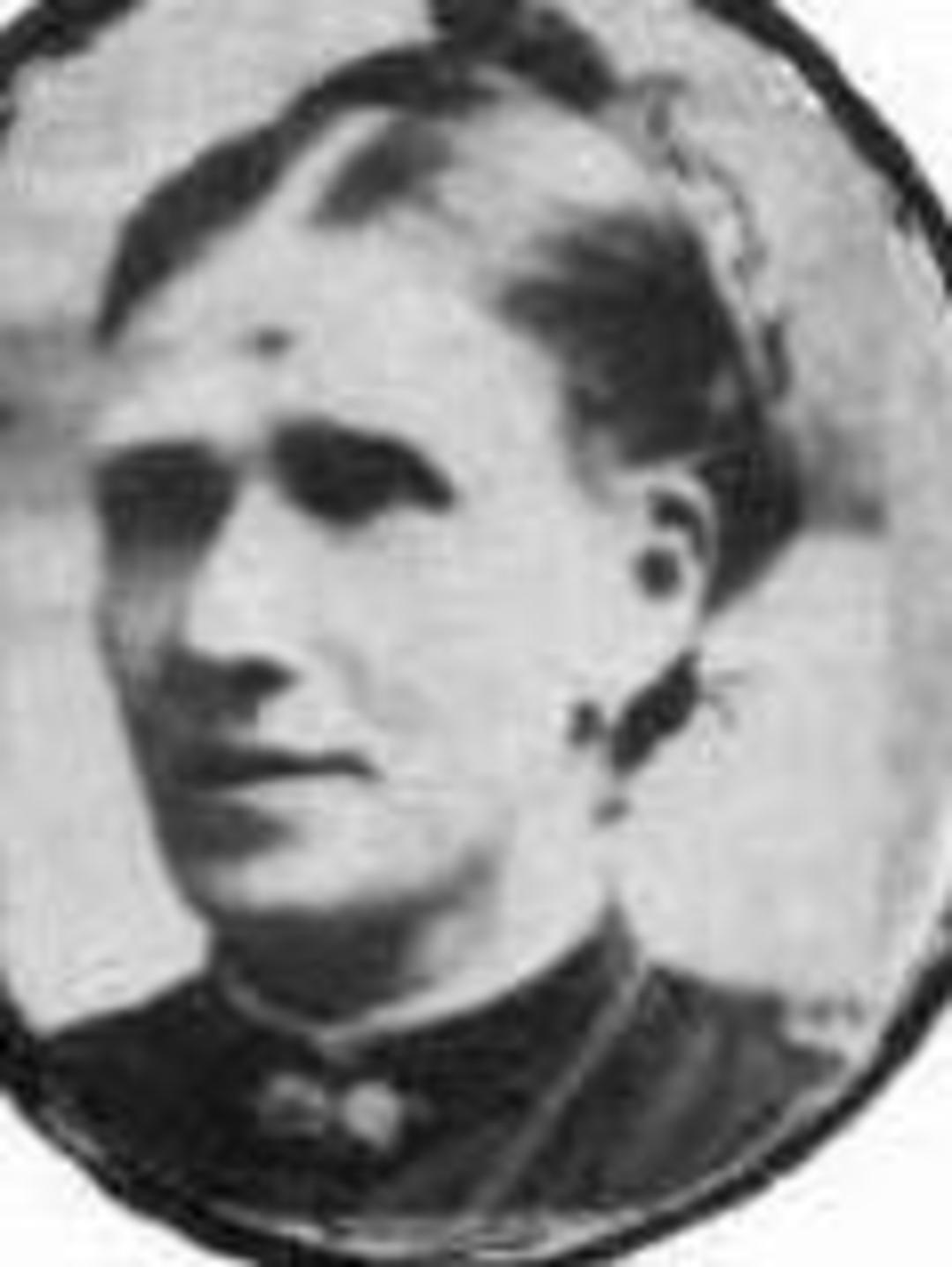 Annette Johnson (1841 - 1896) Profile